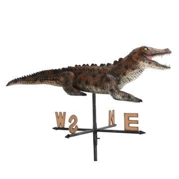 Alligator Windrichtungsanzeiger verkleinert