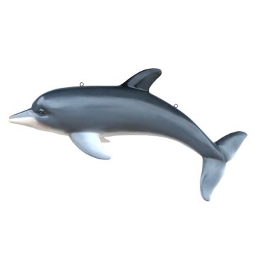 Delfin lebensgroß