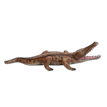 Krokodil klein 1 lebensgroß