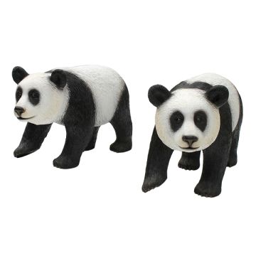 BabyPandas paar lebensgroß