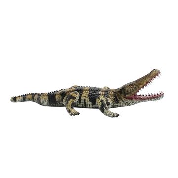 Kleines Krokodil lebensgroß