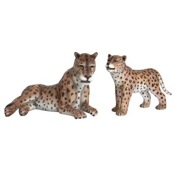 Gepard mit Baby lebensgroß