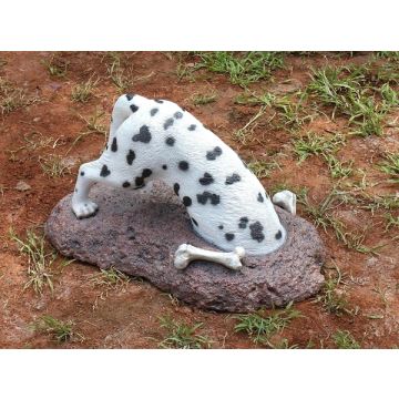 Schwarzweißer Hund buddelt nach Knochen lebensgroß