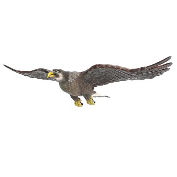 Goldener Adler fliegend lebensgroß