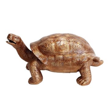 Goldene Schildkröte lebensgroß