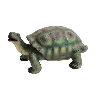 Schildkröte lebensgroß