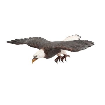 Weißköpfiger Adler fliegend Angriffsposition lebensgroß