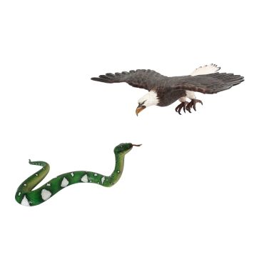 Weißköpfiger Adler fliegend und Schlange lebensgroß