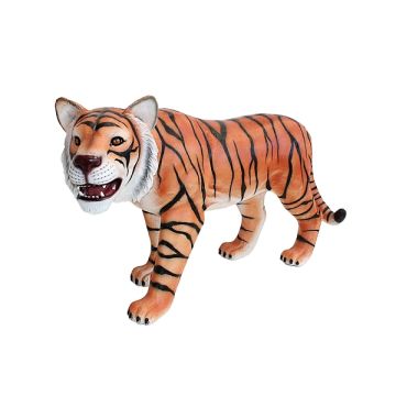 Tiger Blick rechts lebensgroß
