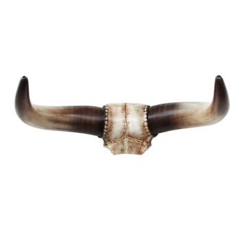Stierhorn Wanddeko lebensgroß