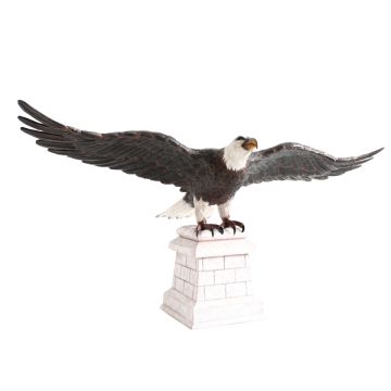 Weißköpfiger Adler auf Stein lebensgroß