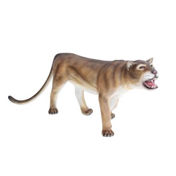 Puma lebensgroß