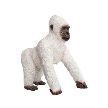 Weißer Gorilla lebensgroß