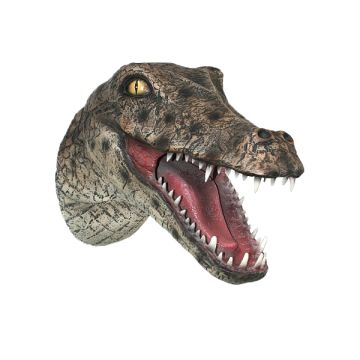 Alligatorkopf  lebensgroß