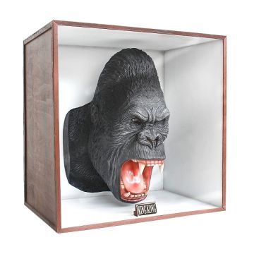 Gorillakopf in Schaukasten lebensgroß