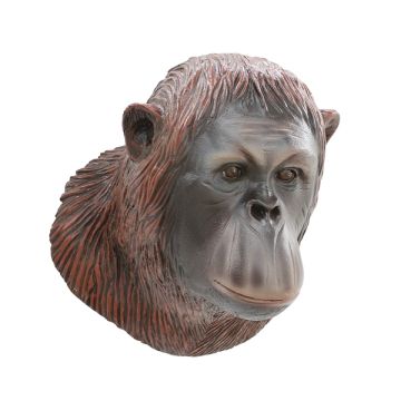 Orangutankopf lebensgroß