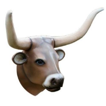 Longhorn Kuhkopf lebensgroß