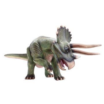 Dinosaurier Triceratops mittel lebensgroß