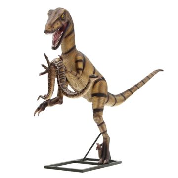Dinosaurier Velociraptor mit Schlange lebensgroß