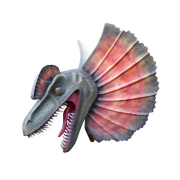 Dinosaurier Dilophosauruskopf lebensgroß