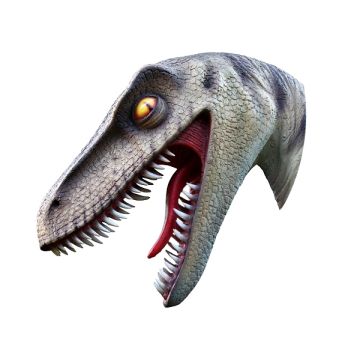Dinosaurier Raptorkopf lebensgroß