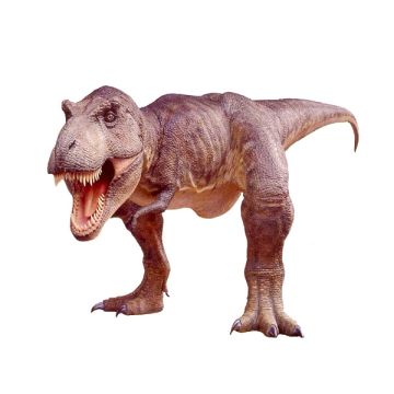 Dinosaurier Tyrannosaurus sehr groß lebensgroß