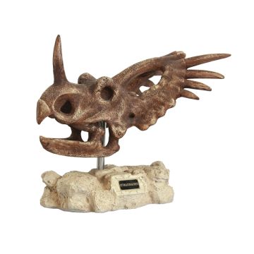 Dinosaurier Styracosaurus auf Stein lebensgroß