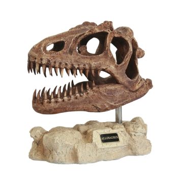 Dinosaurier Allosaurus auf Stein lebensgroß