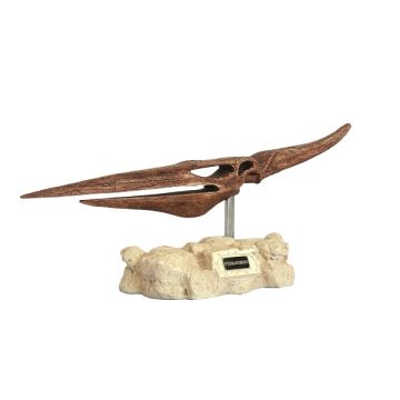 Dinosaurier Pteranodon auf Stein lebensgroß
