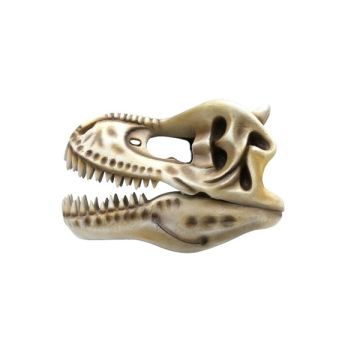 Dinosaurier Tyrannosaurus Skelett Fossil lebensgroß