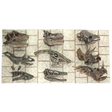 Dinosaurier Kopf Fossilien  lebensgroß