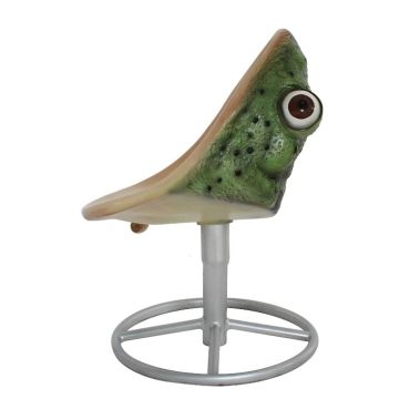 Froschsitz vergrößert