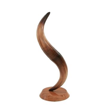 Stierhorn auf Ständer lebensgroß
