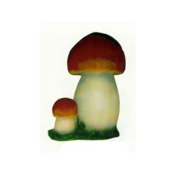 Steinpilze auf Wiese vergrößert