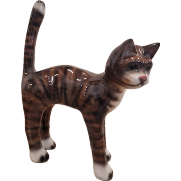 Katze naturell stehend vergrößert