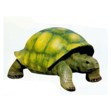 große Riesenschildkröte grün lebensgroß