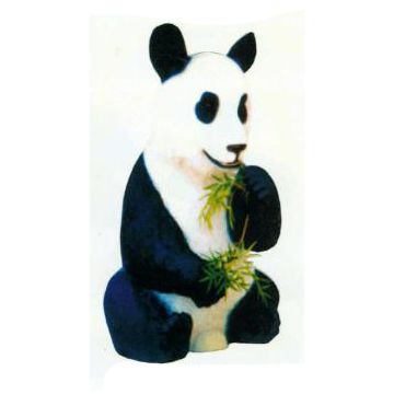 Pandabär sitzt und isst Bambus lebensgroß