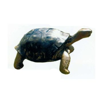 lebensgroße Schildkröte mit Kopf nach oben lebensgroß