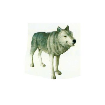 großer böser Wolf lebensgroß