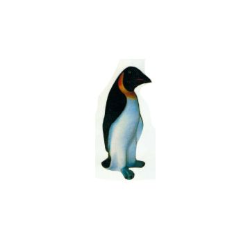 Kaiserpinguin stehend lebensgroß