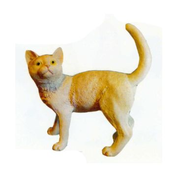 beige stehende Katze lebensgroß