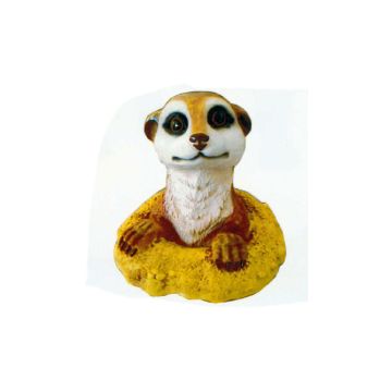 Erdmännchen Kopf aus Boden lebensgroß