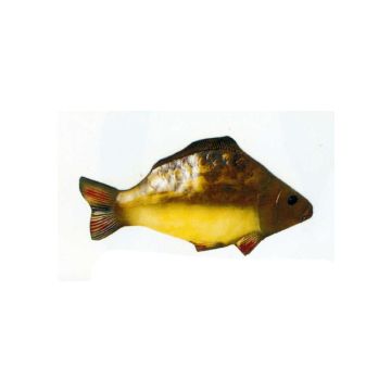 großer Karpfen Fisch lebensgroß