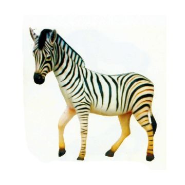 lebensgroßes Zebra lebensgroß