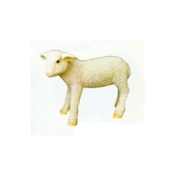 kleines Lamm lebensgroß