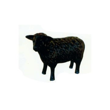 schwarzes Schaf klein verkleinert