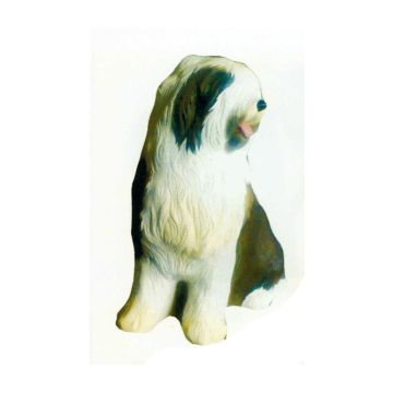 sitzender Bearded Collie lebensgroß