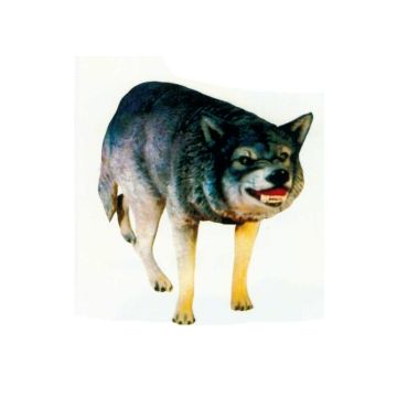 großer wilder Wolf lebensgroß