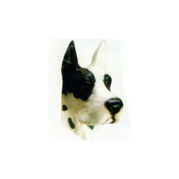 Hundekopf schwarz weiß lebensgroß