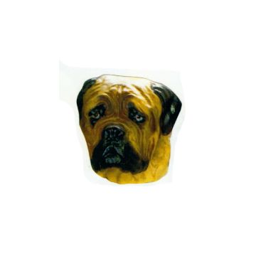 Mastiff Kopf lebensgroß